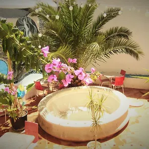 The White Butterfly Hostel